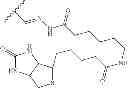 Fig. 22 - Ladder-Frame Polyether Conjugates