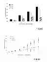 Fig. 09 - Compositions and methods including cell death inducers and procaspase activation