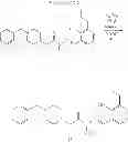 Fig. 63 - Compositions and methods including cell death inducers and procaspase activation