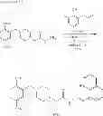 Fig. 67 - Compositions and methods including cell death inducers and procaspase activation