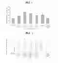 Fig. 02 - Panaxadiol-containing composition