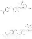 Fig. 197 - VEGFR3 inhibitors