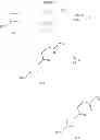 Fig. 96 - VEGFR3 inhibitors