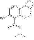 Fig. 63 - Aryl-substituted tricyclic sulfonamides as methionyl aminopeptidase 2 modulators