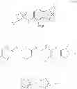 Fig. 79 - Aryl-substituted tricyclic sulfonamides as methionyl aminopeptidase 2 modulators
