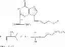 Fig. 37 - ANTIVIRAL AND ANTIMICROBIAL COMPOUNDS