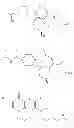 Fig. 95 - ANTIVIRAL AND ANTIMICROBIAL COMPOUNDS
