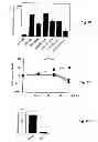 Fig. 04 - Treatment of Solid Tumours