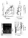 Fig. 06 - Treatment of Solid Tumours