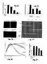 Fig. 09 - Treatment of Solid Tumours