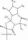 Fig. 08 - Fluoroergoline analogs