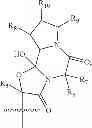 Fig. 09 - Fluoroergoline analogs