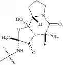 Fig. 22 - Fluoroergoline analogs