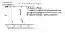 Fig. 01 - METHODS FOR TREATING IMMUNOLOGIC DISEASE USING AMINOTHIAZOLE-BASED INHIBITOR OF MYD88