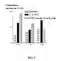 Fig. 09 - METHODS FOR TREATING IMMUNOLOGIC DISEASE USING AMINOTHIAZOLE-BASED INHIBITOR OF MYD88