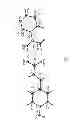 Fig. 02 - Cocrystals of p-coumaric acid