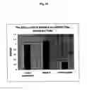 Fig. 19 - Modified small interfering RNA molecules and methods of use
