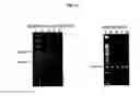 Fig. 23 - Modified small interfering RNA molecules and methods of use