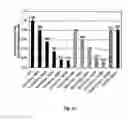 Fig. 25 - Modified small interfering RNA molecules and methods of use