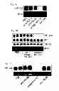 Fig. 02 - CHEMICALLY MODIFIED OLIGONUCLEOTIDES FOR USE IN MODULATING MICRO RNA AND USES THEREOF