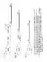 Fig. 06 - CHEMICALLY MODIFIED OLIGONUCLEOTIDES FOR USE IN MODULATING MICRO RNA AND USES THEREOF