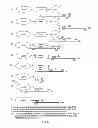 Fig. 09 - CHEMICALLY MODIFIED OLIGONUCLEOTIDES FOR USE IN MODULATING MICRO RNA AND USES THEREOF