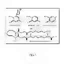 Fig. 04 - Method of inhibiting nonsense-mediated mRNA decay