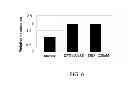 Fig. 07 - Method of inhibiting nonsense-mediated mRNA decay