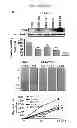 Fig. 05 - COMPOSITIONS FOR MODULATING INVASION ABILITY OF A TUMOR AND METHODS THEREOF