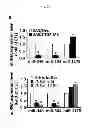 Fig. 07 - COMPOSITIONS FOR MODULATING INVASION ABILITY OF A TUMOR AND METHODS THEREOF