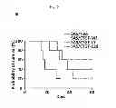 Fig. 16 - COMPOSITIONS FOR MODULATING INVASION ABILITY OF A TUMOR AND METHODS THEREOF