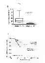 Fig. 20 - COMPOSITIONS FOR MODULATING INVASION ABILITY OF A TUMOR AND METHODS THEREOF