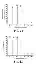 Fig. 03 - Efficient protein expression in vivo using modified RNA (MOD-RNA)