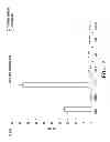 Fig. 09 - Efficient protein expression in vivo using modified RNA (MOD-RNA)