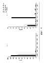 Fig. 10 - Efficient protein expression in vivo using modified RNA (MOD-RNA)