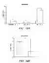 Fig. 17 - Efficient protein expression in vivo using modified RNA (MOD-RNA)