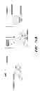 Fig. 19 - Efficient protein expression in vivo using modified RNA (MOD-RNA)