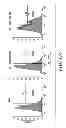 Fig. 20 - Efficient protein expression in vivo using modified RNA (MOD-RNA)