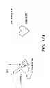 Fig. 32 - Efficient protein expression in vivo using modified RNA (MOD-RNA)
