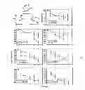 Fig. 01 - METHODS OF PREVENTING, TREATING AND DIAGNOSING DISORDERS OF PROTEIN AGGREGATION