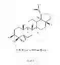 Fig. 02 - LUPEOL ANTI-TUMOR AGENT AND USES THEREOF