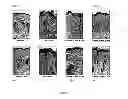 Fig. 03 - LUPEOL ANTI-TUMOR AGENT AND USES THEREOF
