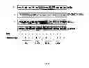 Fig. 07 - LUPEOL ANTI-TUMOR AGENT AND USES THEREOF