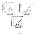 Fig. 09 - LUPEOL ANTI-TUMOR AGENT AND USES THEREOF