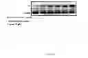 Fig. 17 - LUPEOL ANTI-TUMOR AGENT AND USES THEREOF
