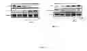 Fig. 26 - LUPEOL ANTI-TUMOR AGENT AND USES THEREOF