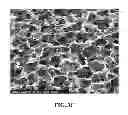 Fig. 06 - Collagen scaffolds, medical implants with same and methods of use