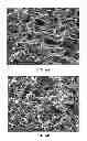 Fig. 09 - Collagen scaffolds, medical implants with same and methods of use