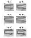 Fig. 05 - Bioabsorbable polymeric compositions, processing methods, and medical devices therefrom