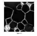 Fig. 08 - Method for Obtaining an Emulsion Containing an Internal Hydrophobic Phase Dispersed in a Continuous Hydrophilic Phase